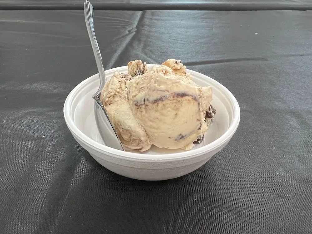 Peanut Butter Fudge Ice Cream
